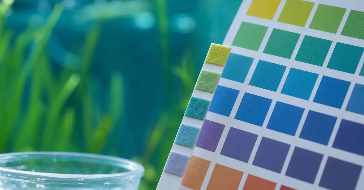 An aquarium water test strip being compared against a color reference chart