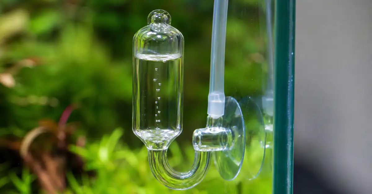 Close-up of a glass CO2 bubble counter and tubing on a planted aquarium with blurred green plants behind