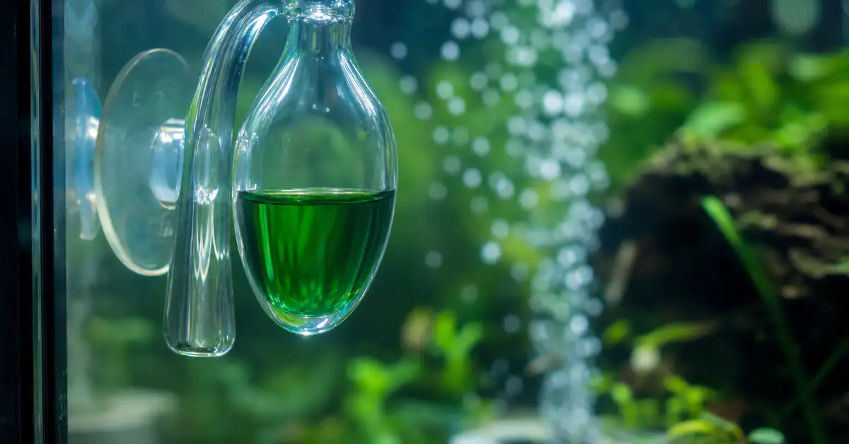 A glass drop checker with green reference solution inside a planted aquarium, with CO2 diffuser bubbles visible in the background