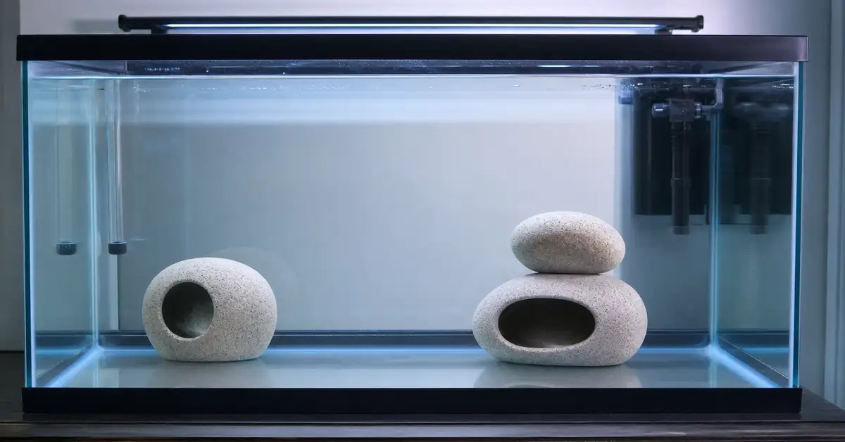 A simple, bare-bottom quarantine aquarium set up separately from the main display tank